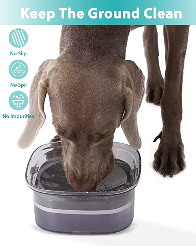 Le bol d'eau anti-débordement pour chien – Image 7