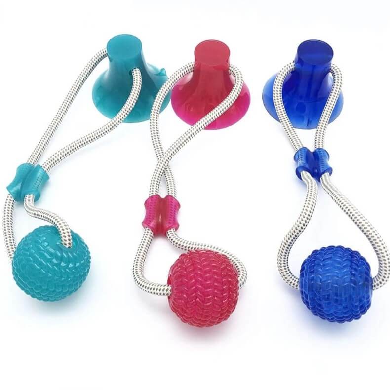 Jouet ventouse multifonction molaire morsure chien chat - squezball – Image 4