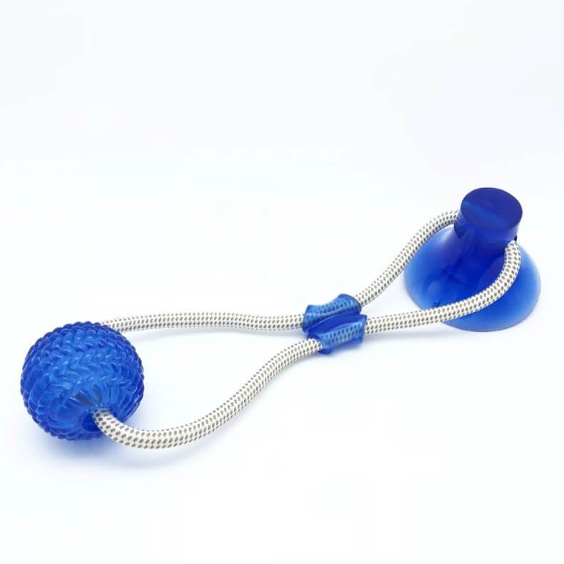Jouet ventouse multifonction molaire morsure chien chat - squezball – Image 5
