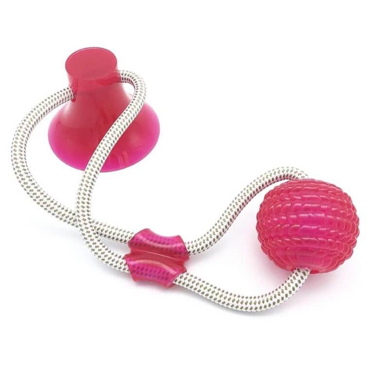 Jouet ventouse multifonction molaire morsure chien chat - squezball – Image 6