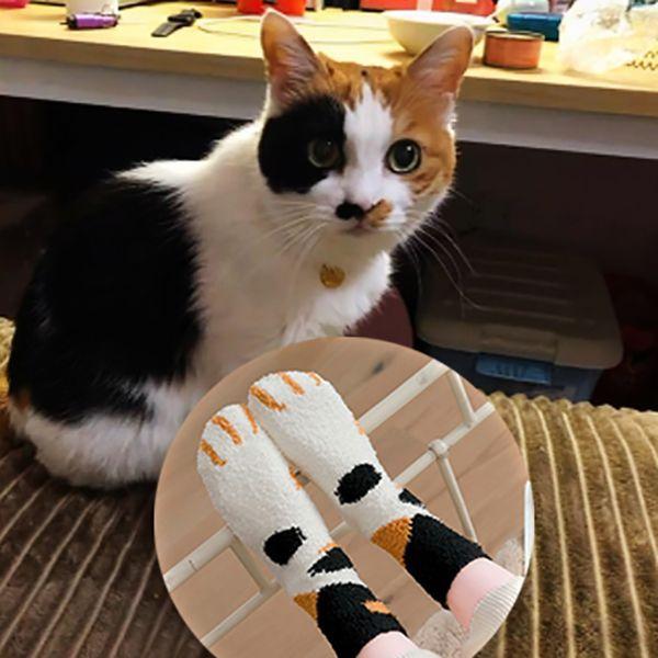 Chaussette chaude et épaisse 2 paires - chatette – Image 5