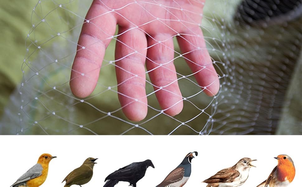 Filet Anti Oiseaux – Image 4