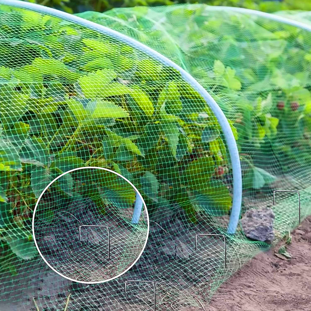 Filet Anti Oiseaux – Image 7