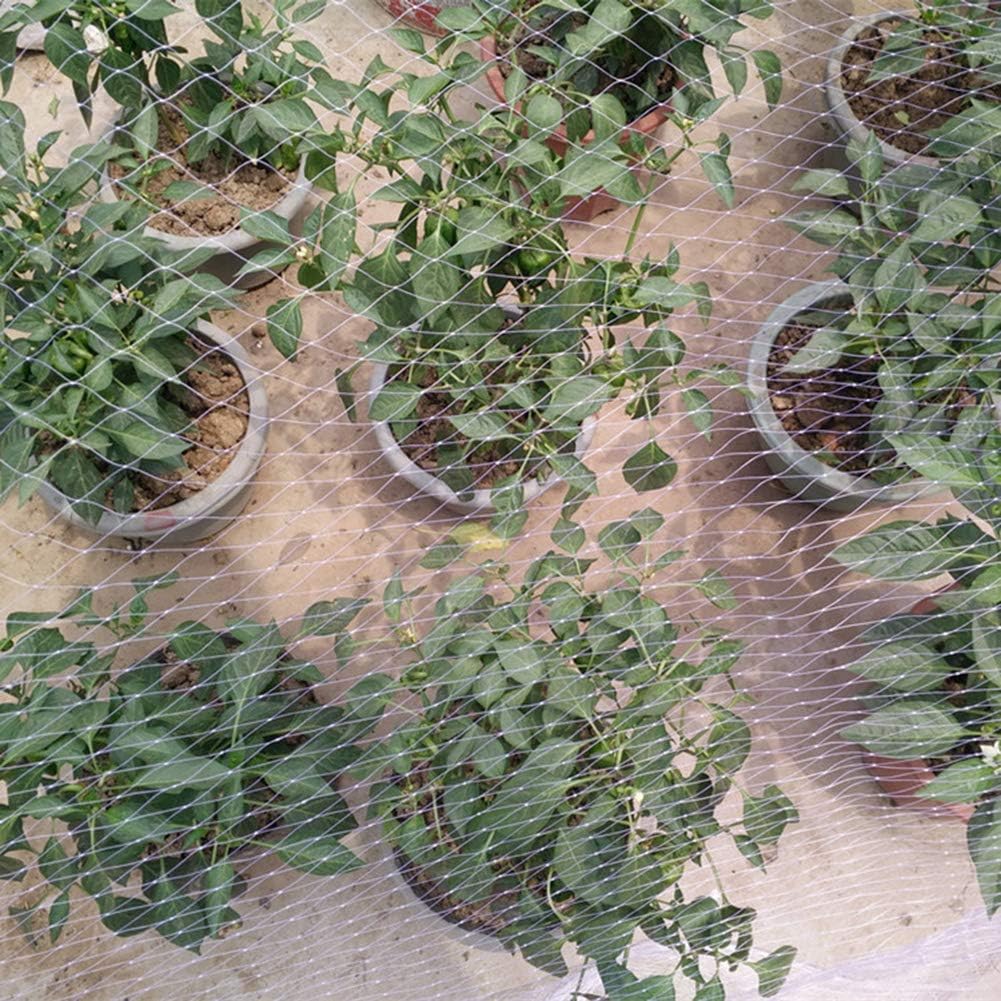 Filet Anti Oiseaux – Image 5