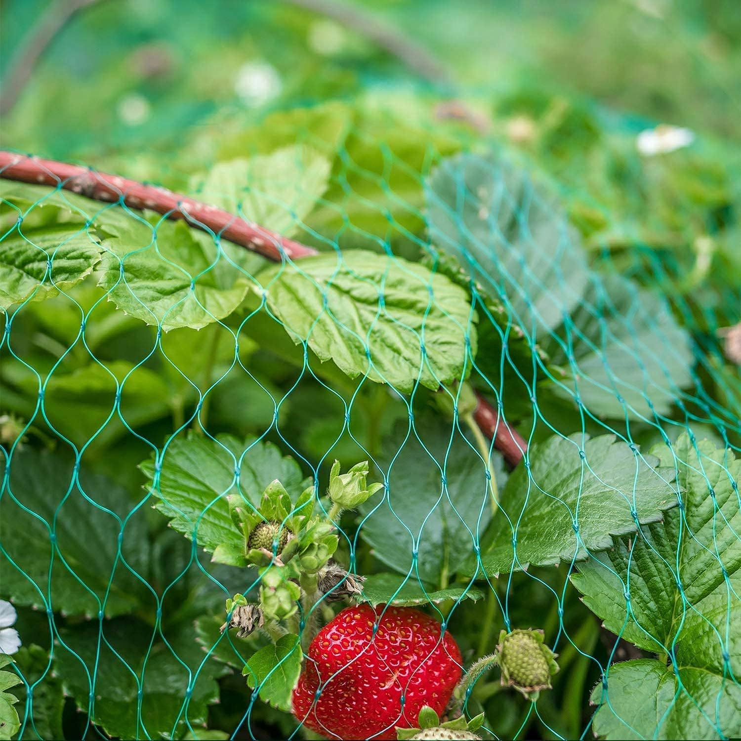 Filet Anti Oiseaux – Image 3