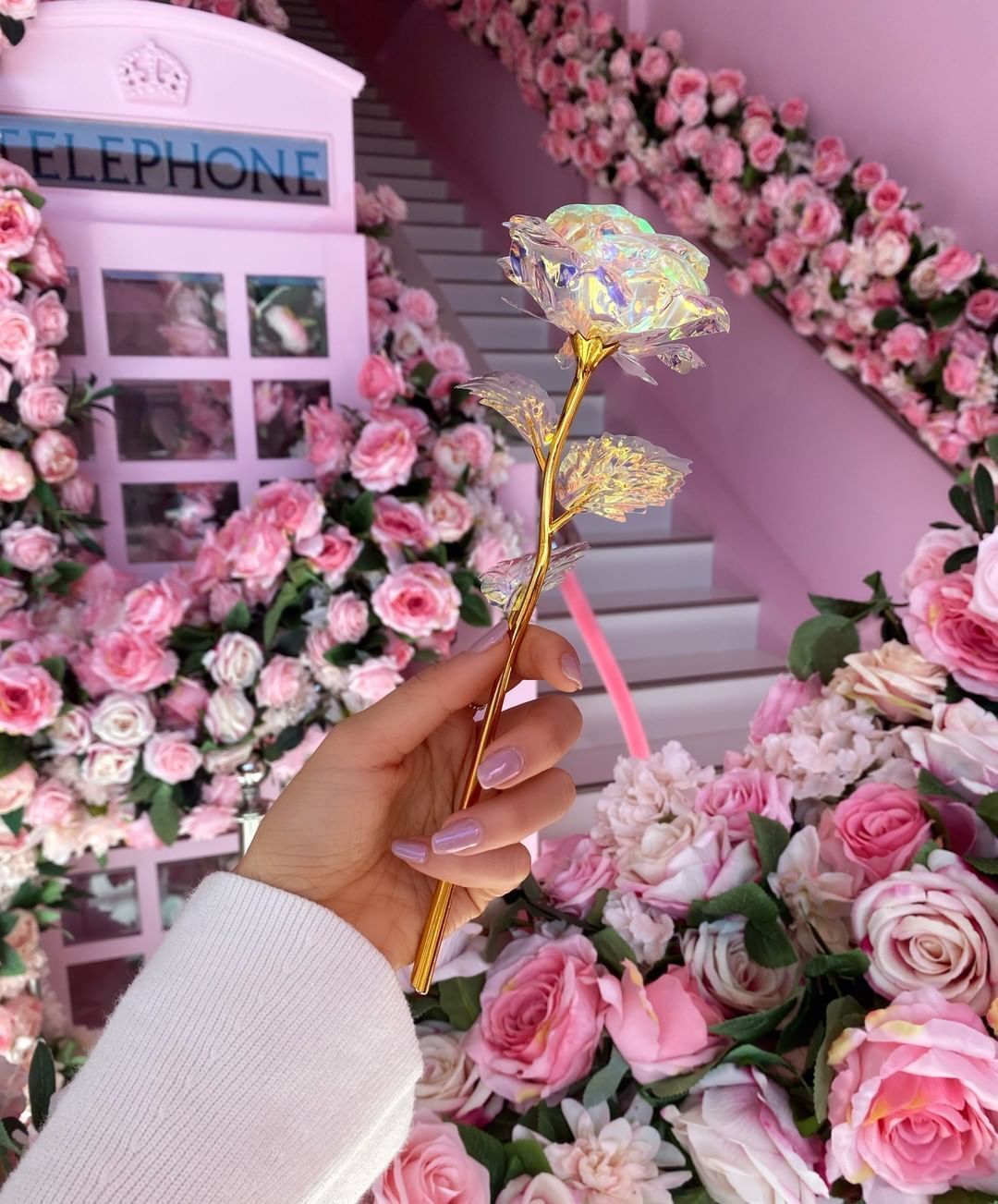 Rose galaxie édition limitée – Image 2