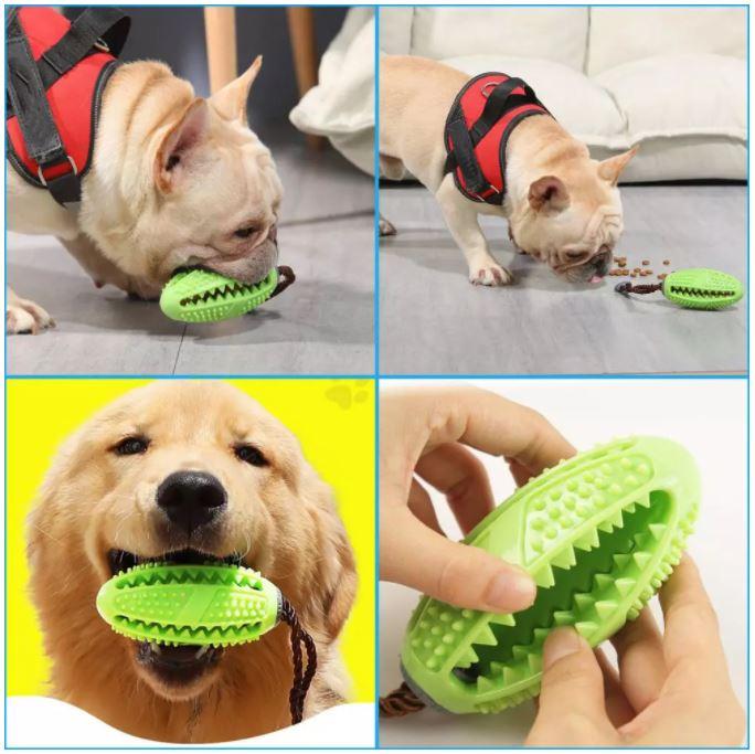 Brosse à dents pour chien