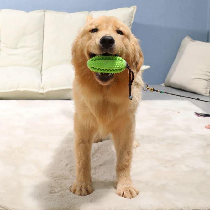 Brosse à dents pour chien