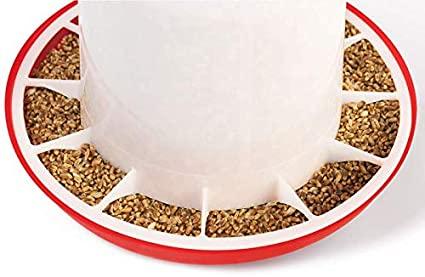 Mangeoire pour poules – Image 4