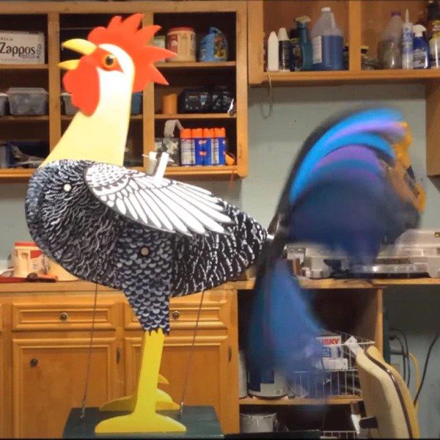 Moulin à vent coq – Image 4