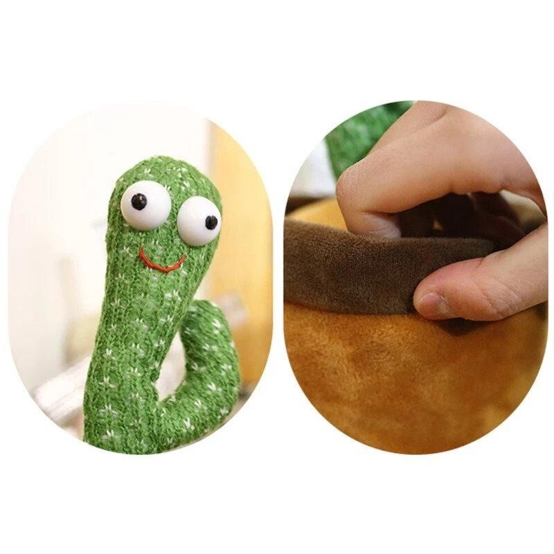 Le cactus dansant – Image 2