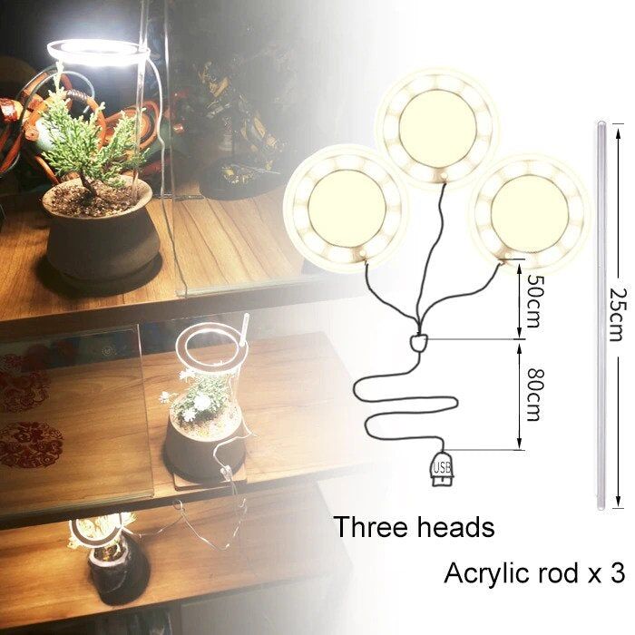 Lampe de croissance Led pour plantes d'intérieur à trois anneaux – Image 8