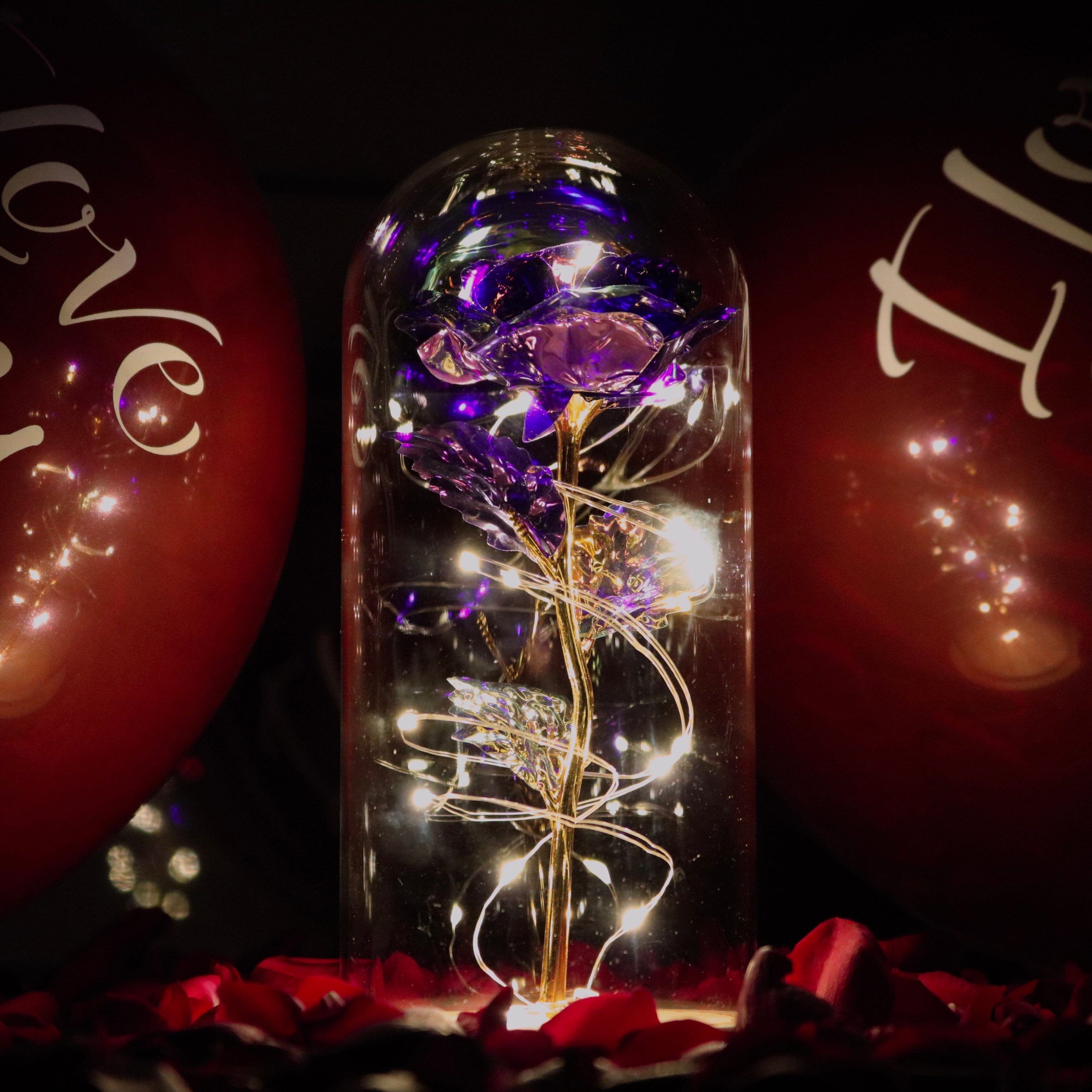 Rose scintillante enchantée™ – Image 4