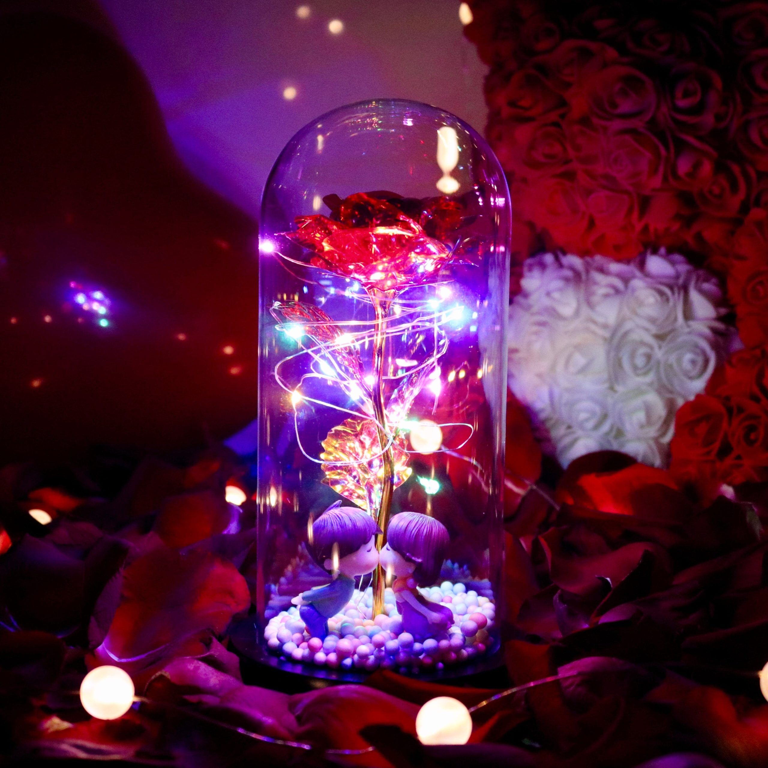 Rose scintillante enchantée™ – Image 10