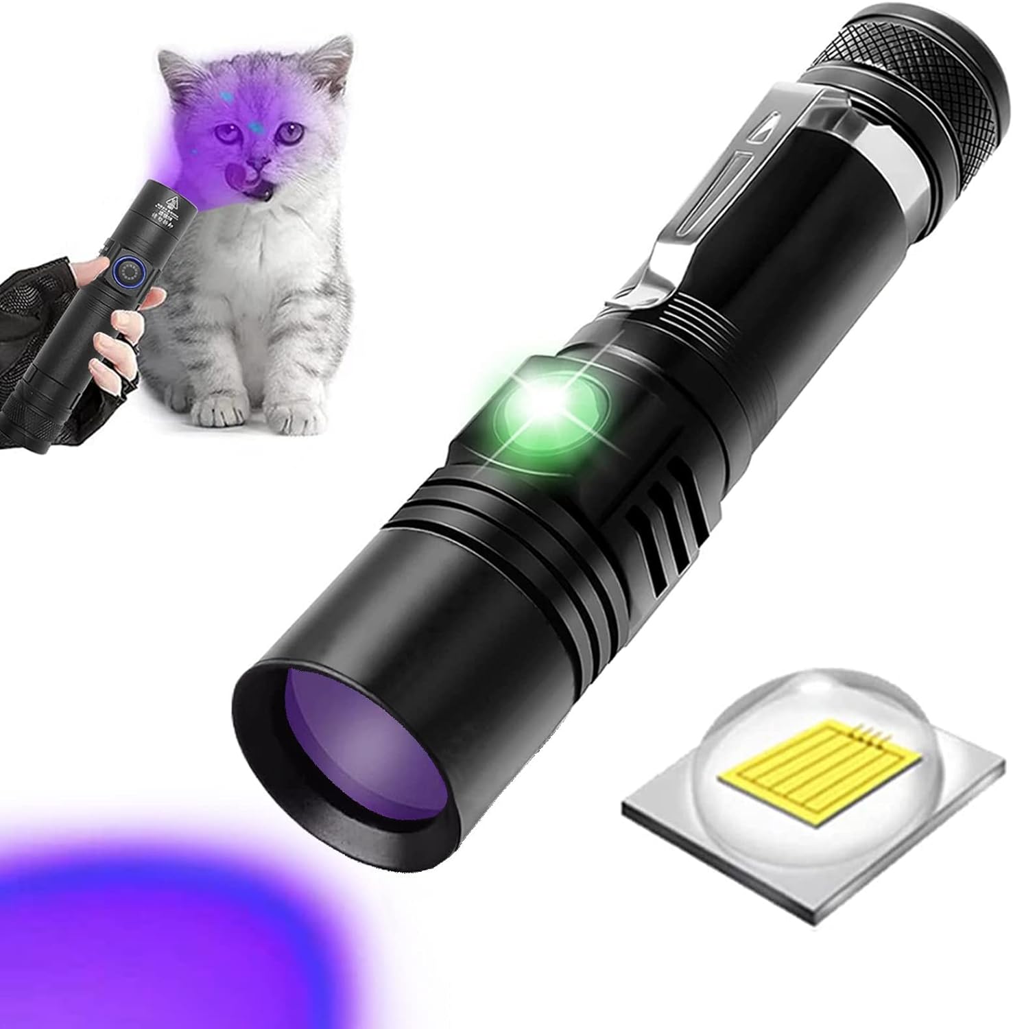 Lampe de poche UV détecteur pour punaise de lit