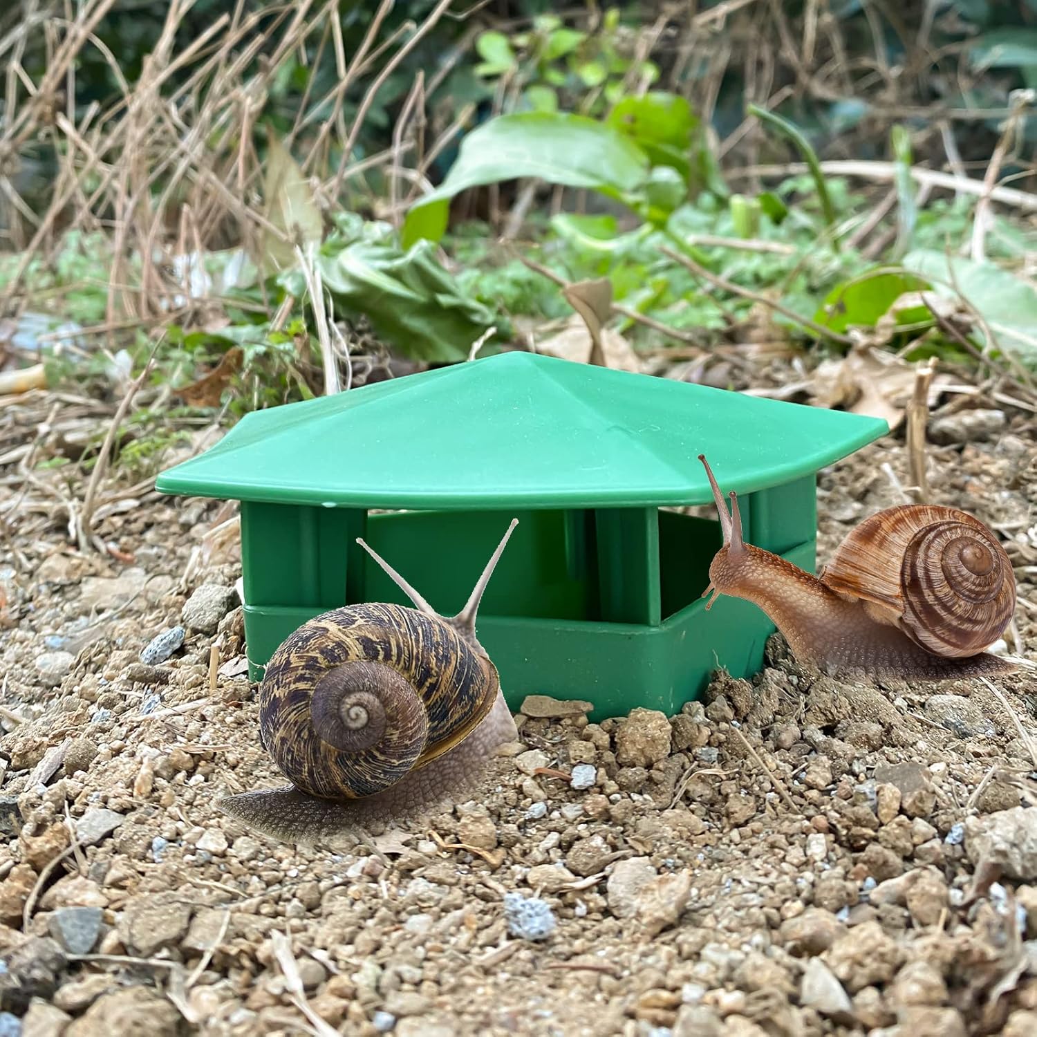 Piège à limaces en plastique robuste, conçu pour résister aux conditions extérieures.