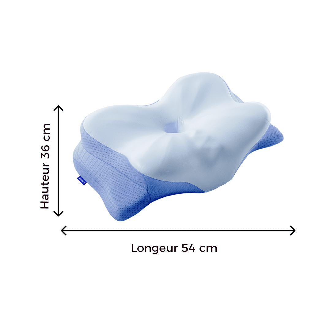 Derila Ergo Oreiller à memoire de forme Soutien cervical anti-ronflement aide à l’apnée du sommeil en forme de papillon – Image 9