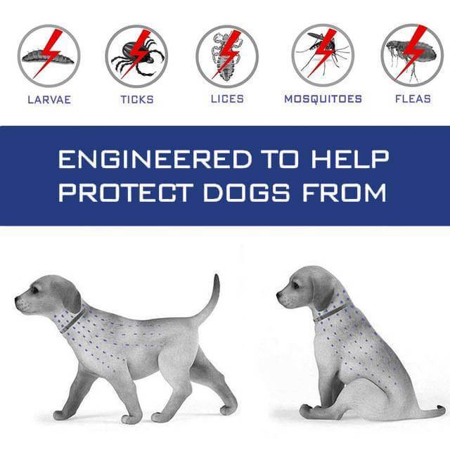 Collier anti-puces et anti-tiques pour chiens et chats – Image 5