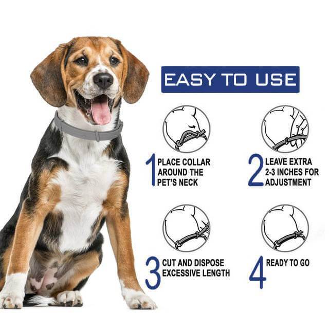 Collier anti-puces et anti-tiques pour chiens et chats – Image 6