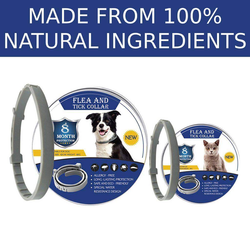 Collier anti-puces et anti-tiques pour chiens et chats – Image 2