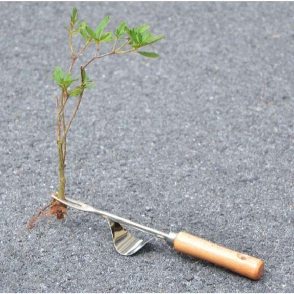 Extracteur de mauvaises herbes – Image 5