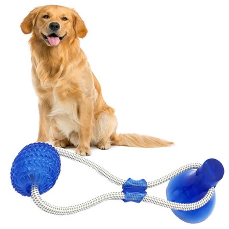 Jouet ventouse multifonction molaire morsure chien chat - squezball – Image 2