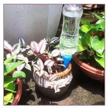 Arrosage goutte à goutte – Image 5