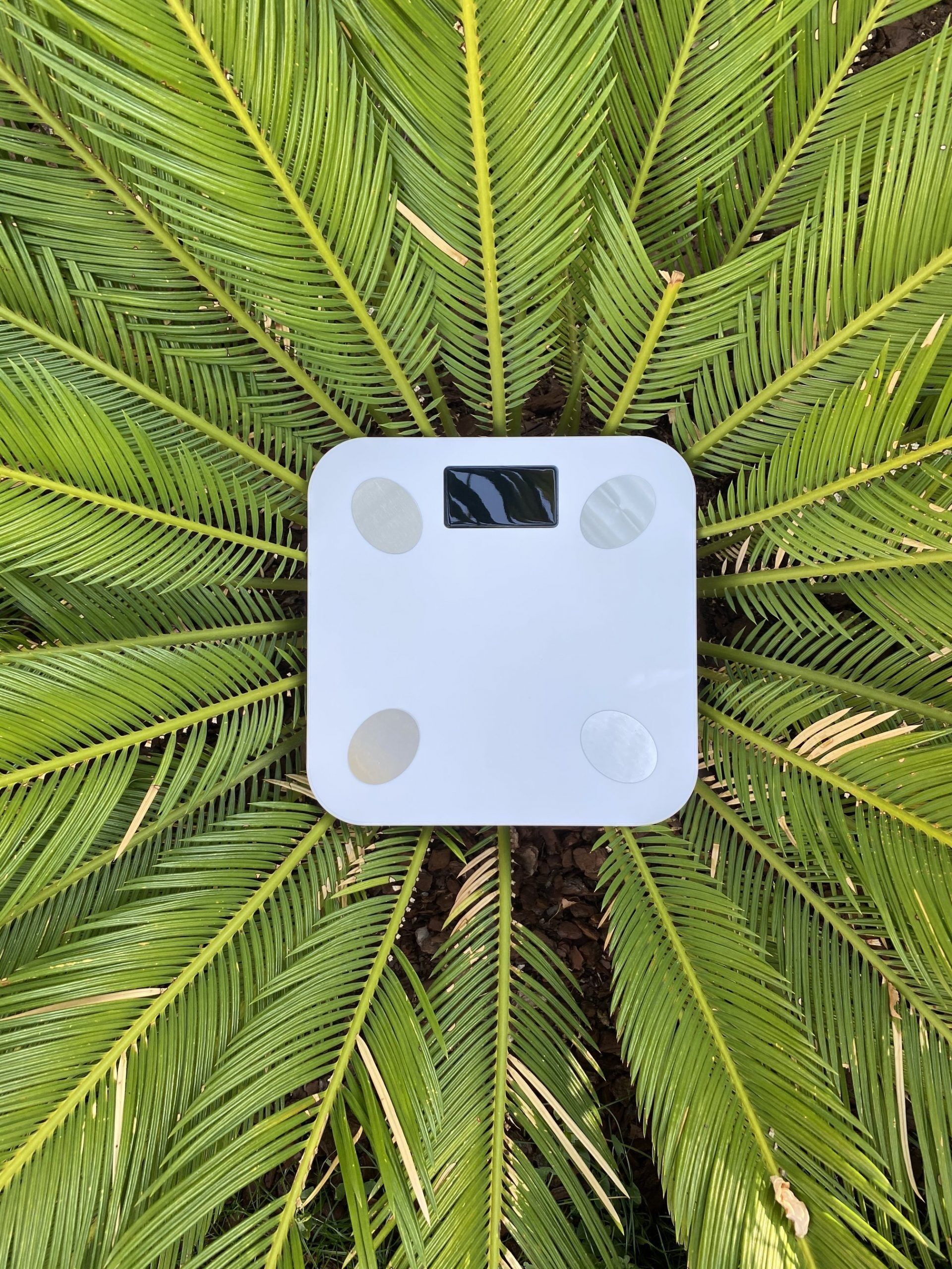 Balance Connectée HOMLYS FITTRACK – Image 2