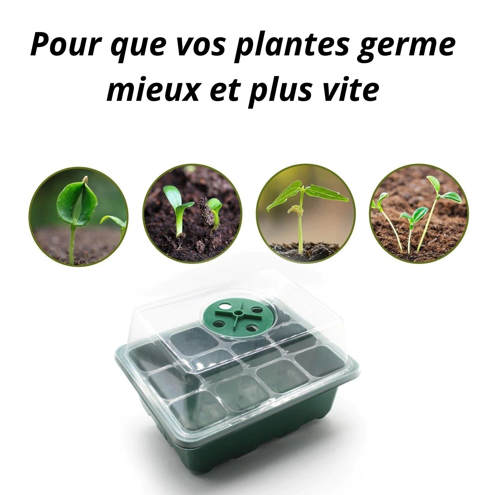Mini serre pour semis – Image 4