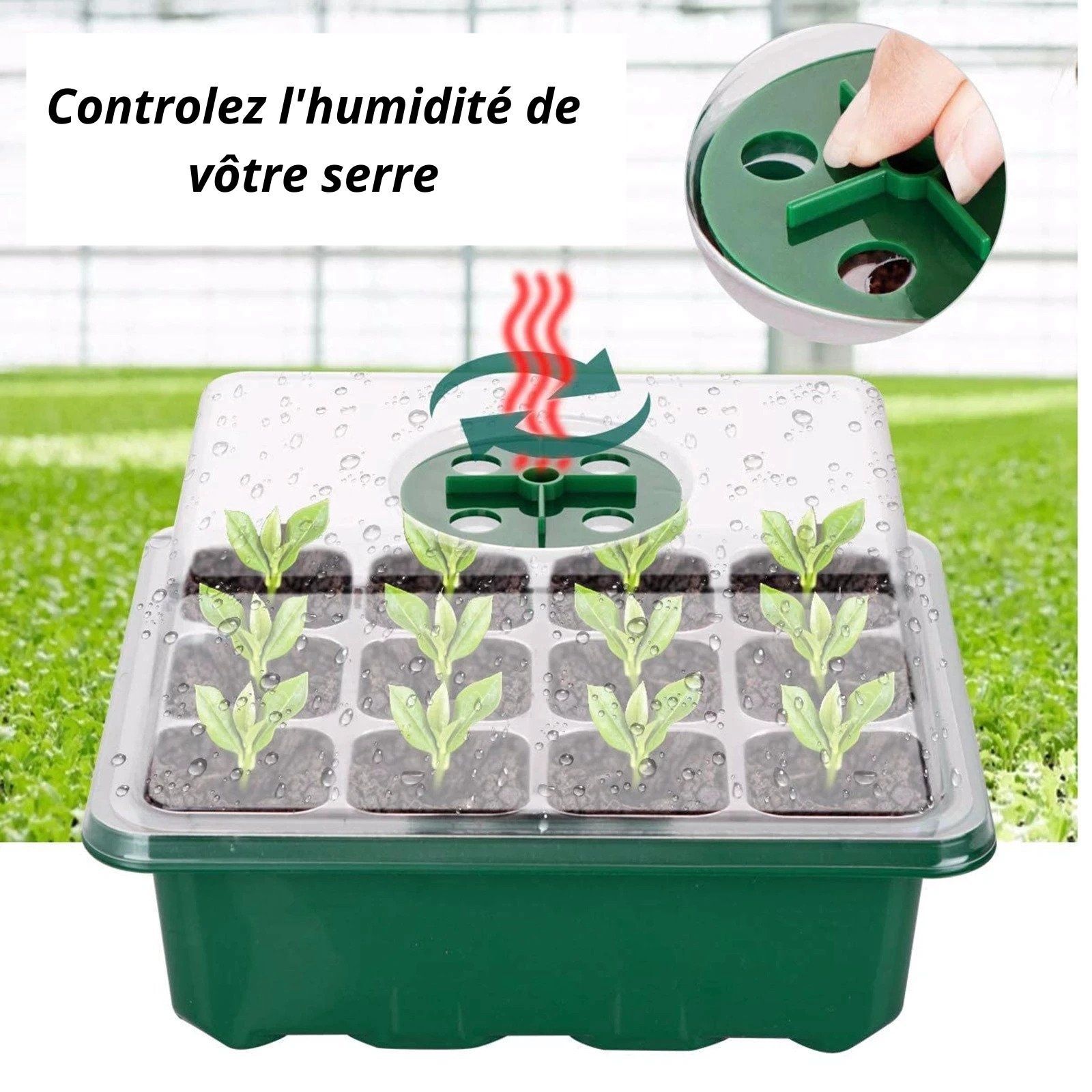 Mini serre pour semis – Image 5