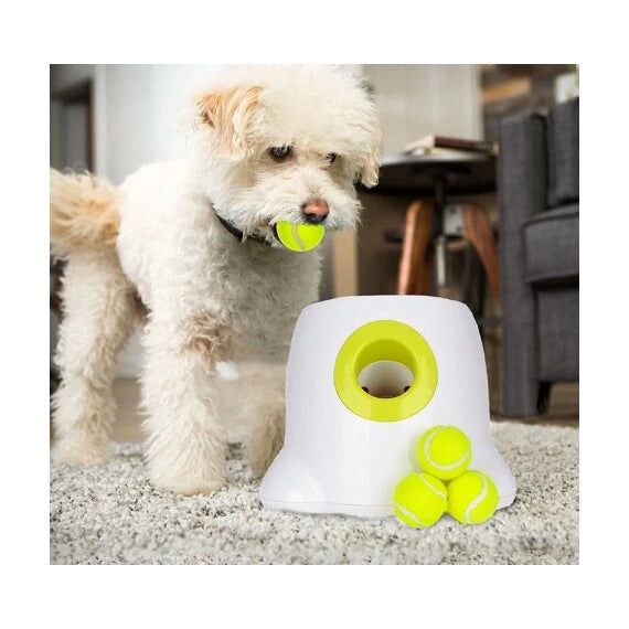 Jouet pour chien Lanceur automatique de balles de tennis – Image 6