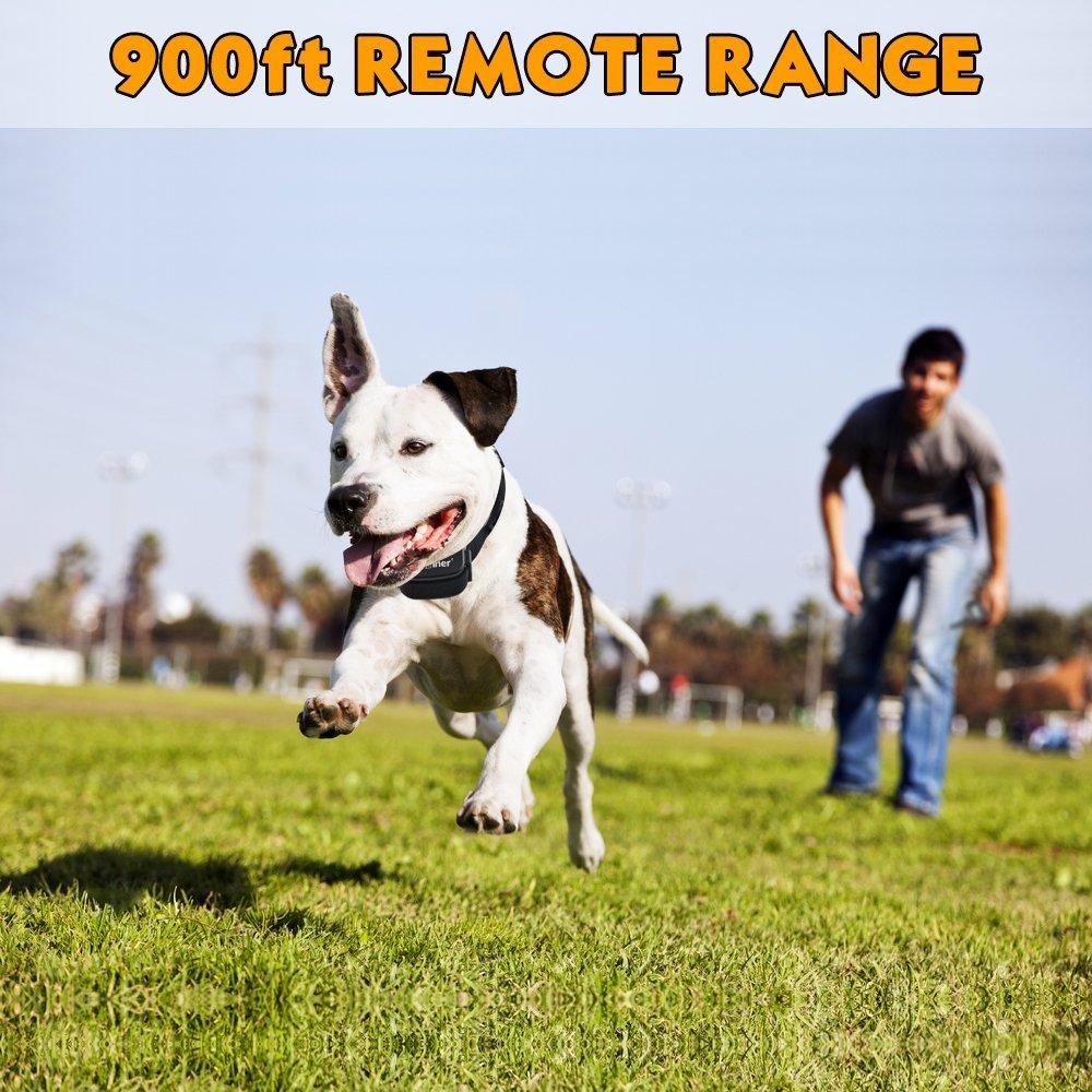 collier dressage chien maître - shopibest