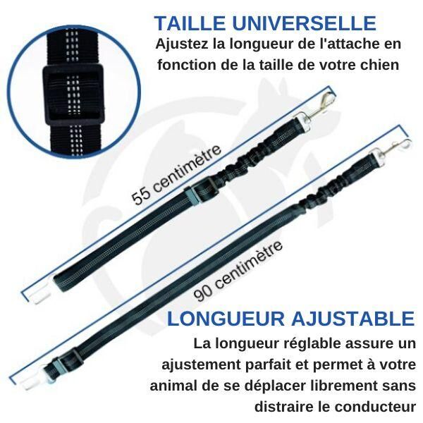 Ceinture de sécurité pour chien - petsafe katifa – Image 11