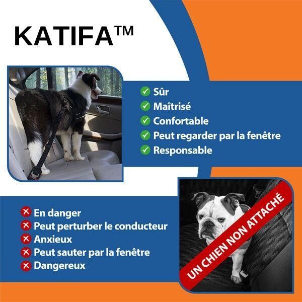 Ceinture de sécurité pour chien - petsafe katifa – Image 5