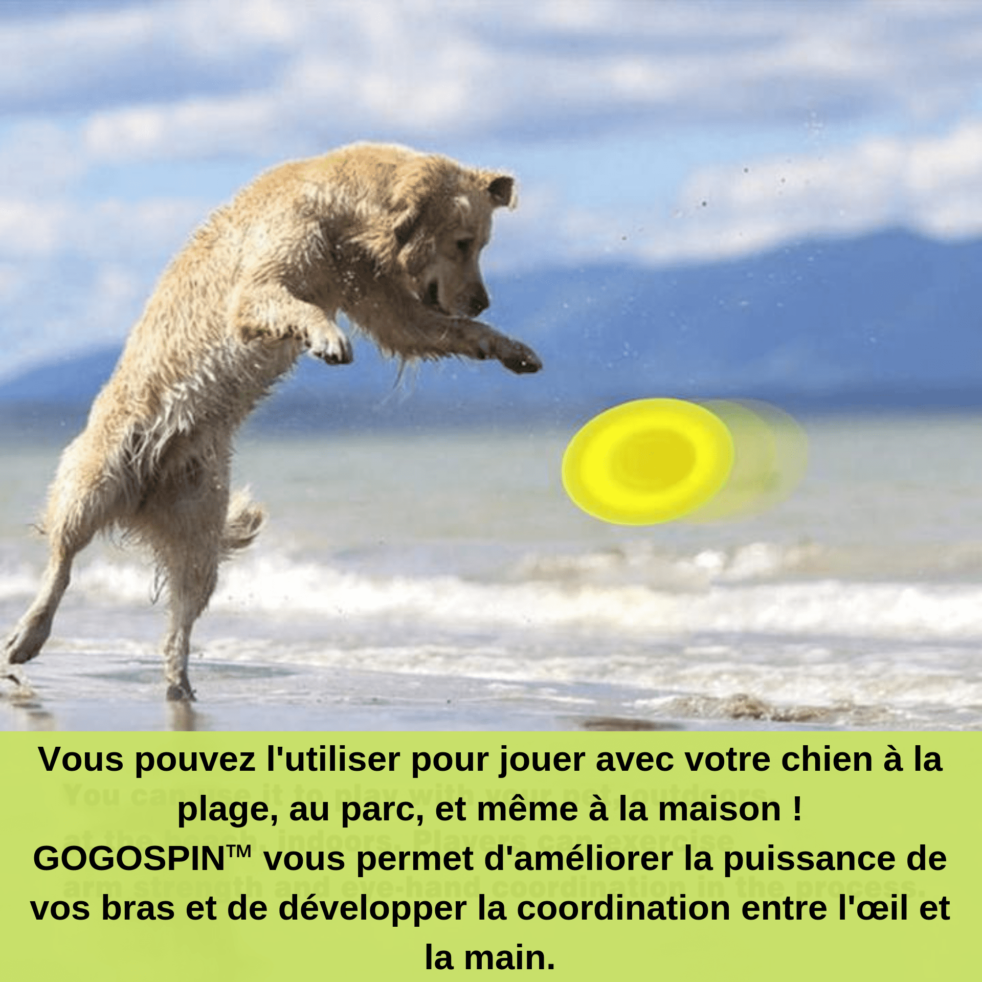 Mini frisbee silicone - gogospin – Image 2