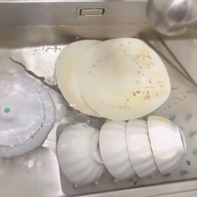 Machine à laver portable voyage