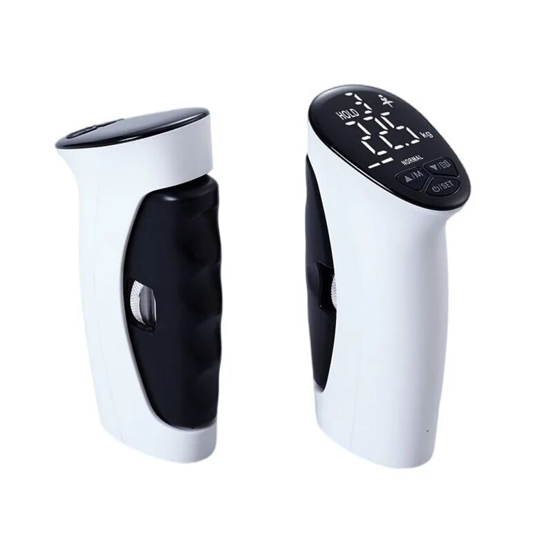 Dynamomètre à main numérique 1