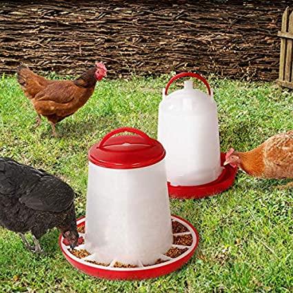 Mangeoire pour poules – Image 2