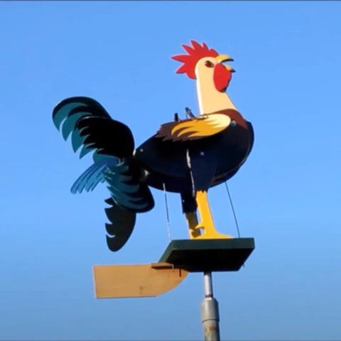 Moulin à vent coq – Image 5
