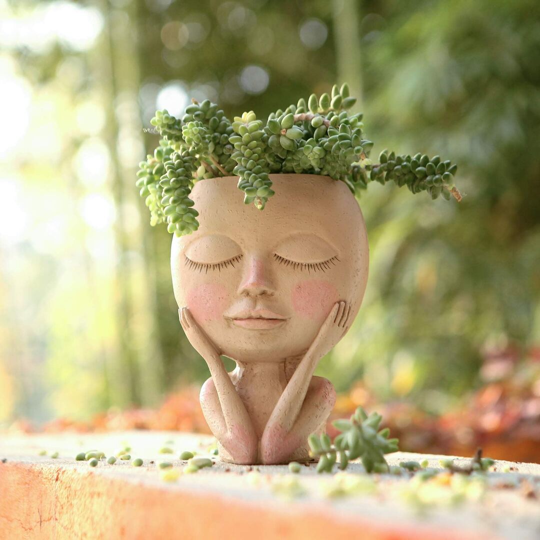 Pot de fleur visage – Image 6
