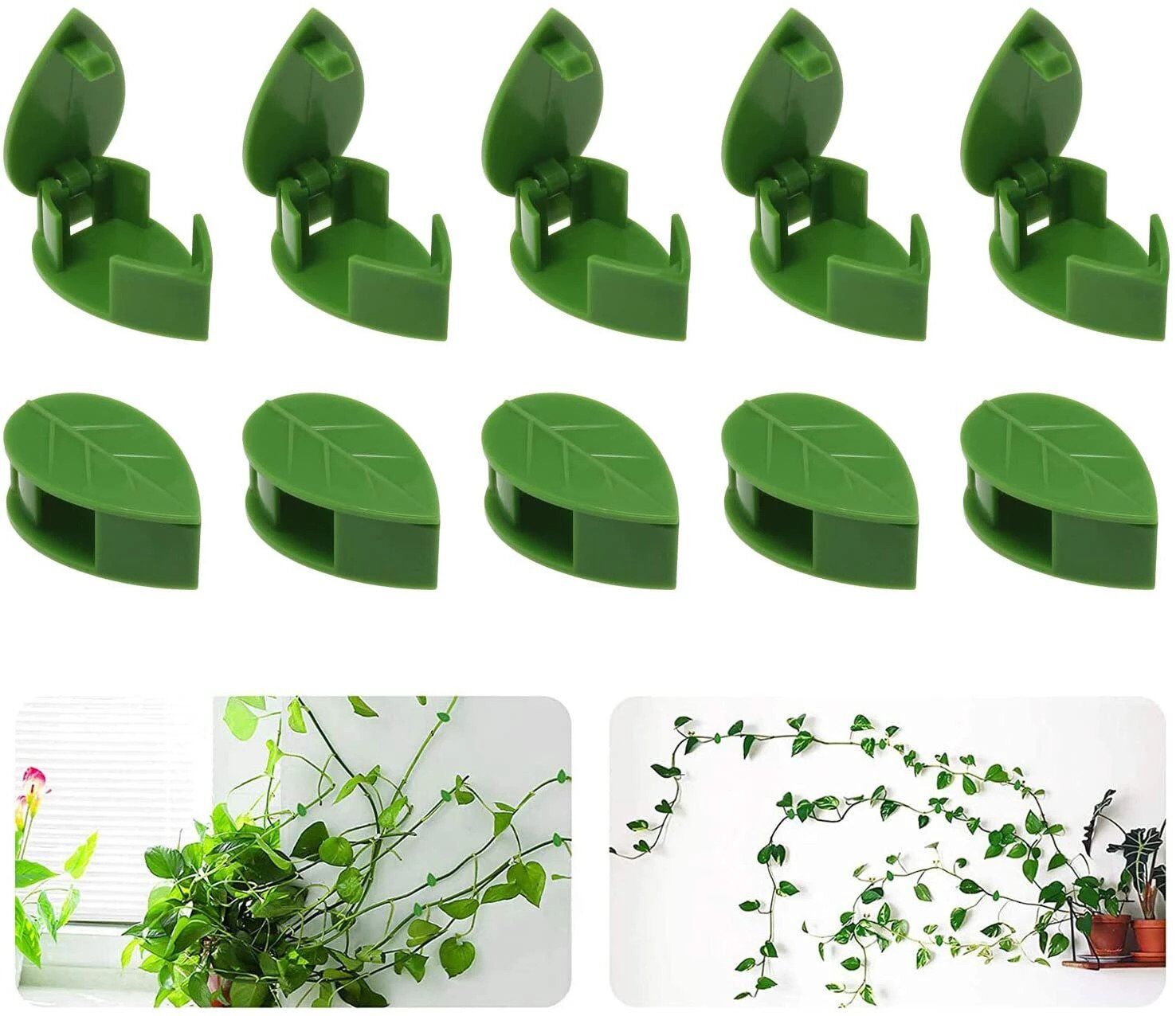 Clip de fixation pour plantes – Image 3