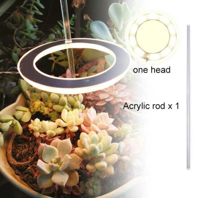 Lampe de croissance Led pour plantes d'intérieur à trois anneaux – Image 3