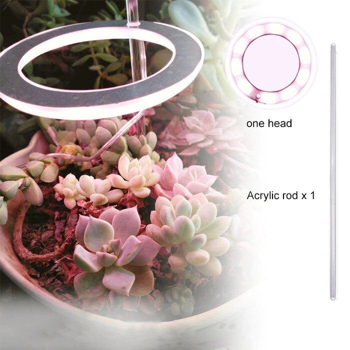 Lampe de croissance Led pour plantes d'intérieur à trois anneaux – Image 2