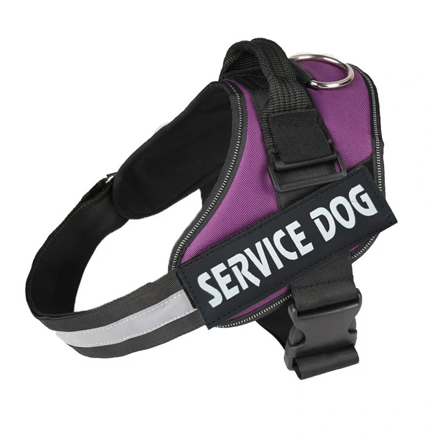 Harnais pour chien personnalisé – Image 5
