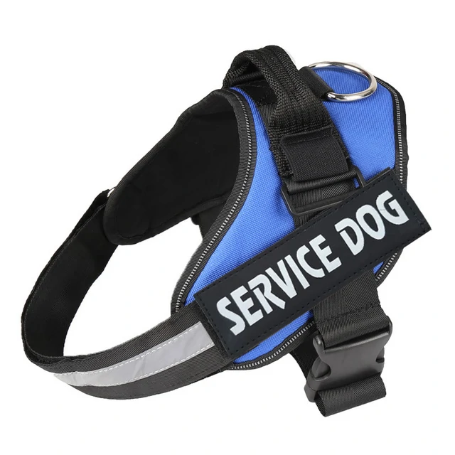 Harnais pour chien personnalisé – Image 3