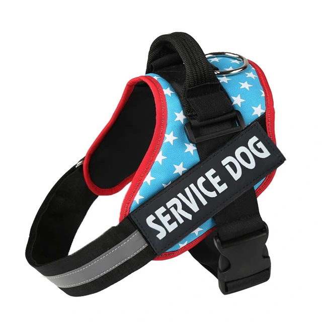 Harnais pour chien personnalisé – Image 7