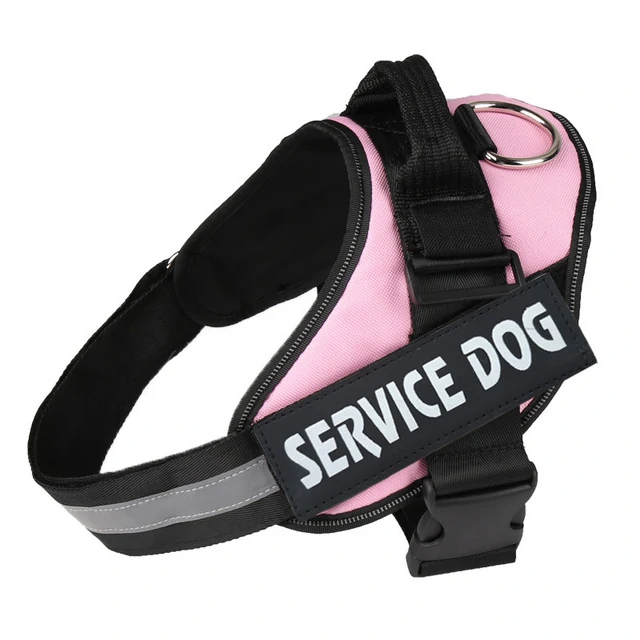 Harnais pour chien personnalisé – Image 6
