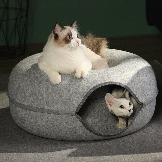 La grotte à chat "Peek-a-boo" avec cloche, jouets interactifs, griffes de broyage, cadre à grimper, jouets pour chats.