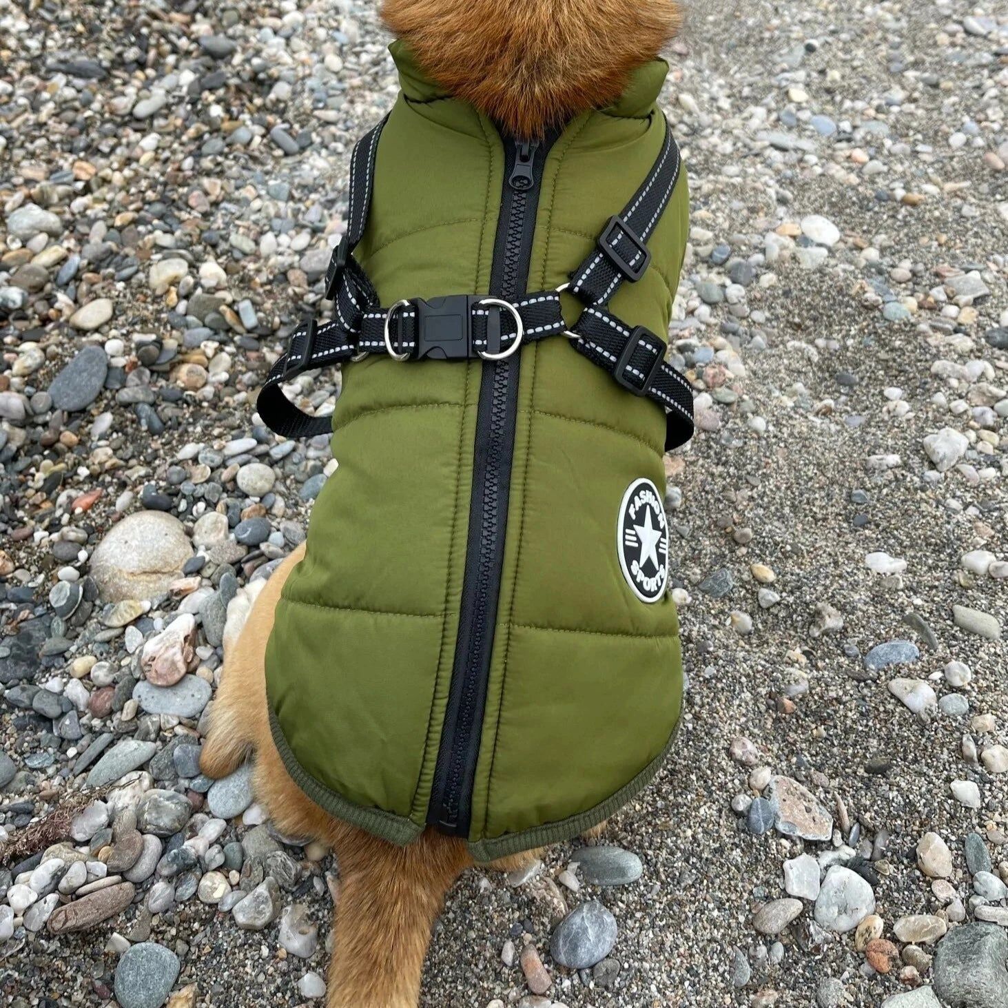 Veste en fourrure – Image 5
