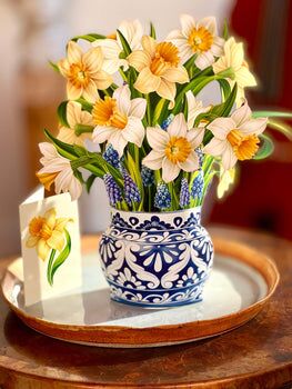 Jonquilles anglaises – Image 3